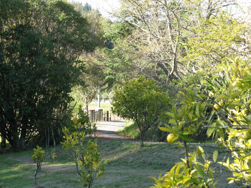 Copper Gate Villa Mapua Buitenkant foto